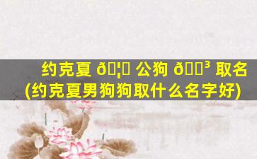 约克夏 🦅 公狗 🐳 取名(约克夏男狗狗取什么名字好)